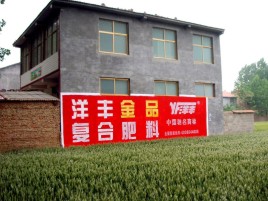 佳县如何让墙体广告展现最大化效果