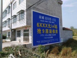 佳县墙体广告质量分析