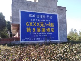 佳县品牌公司青睐的墙体广告